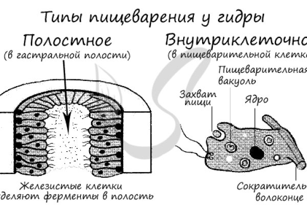 Нарко маркетплейсы